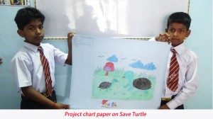 turtle